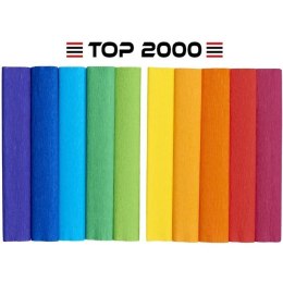 Bibuła marszczona Top 2000 Creatino 25x200cm mix tęczowy (10) Top 2000