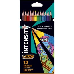 Kredki ołówkowe BiC Color Up! 12 kolorów Bic