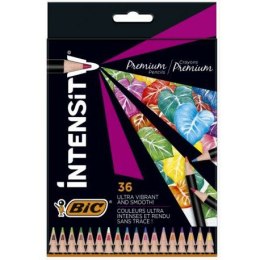 Kredki ołówkowe BiC Intensity Premium 36 kolorów Bic
